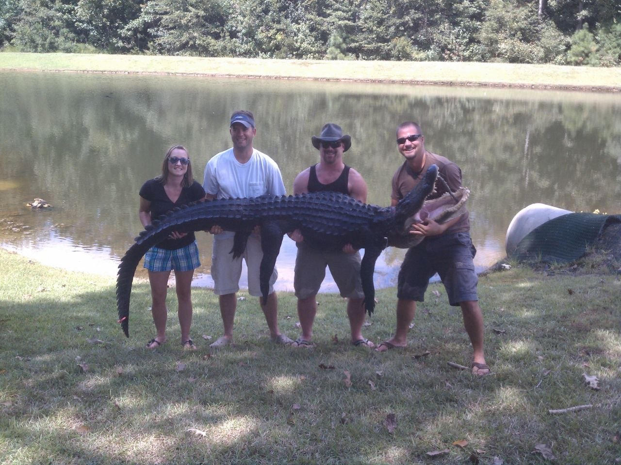 Gator hunt